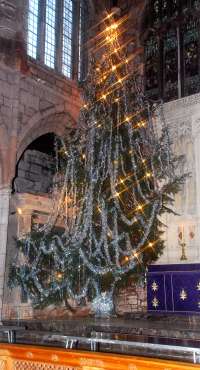 Crediton Church Christmas Tree