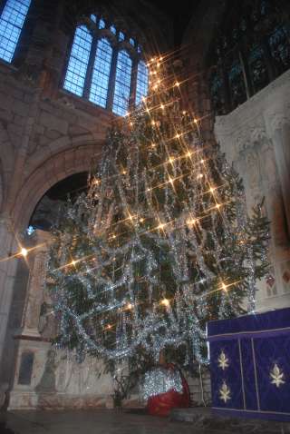 The Christmas tree in Crediton Church